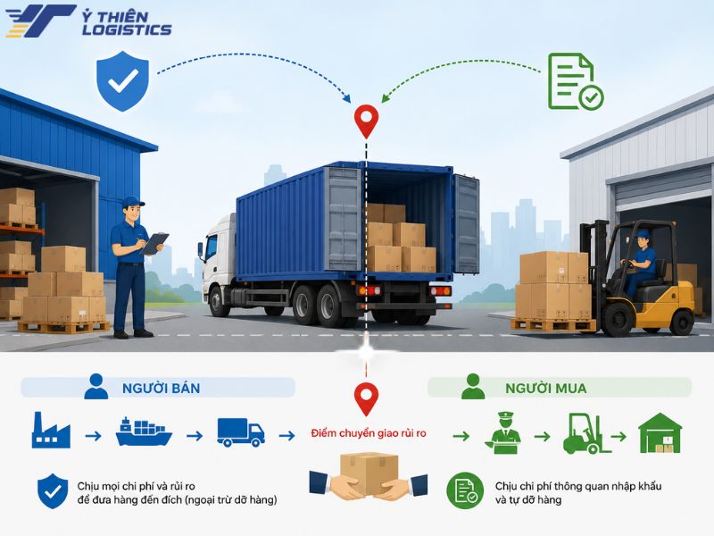 nhập khẩu dap là gì